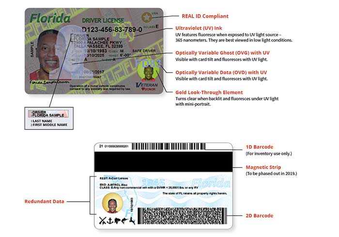 florida driver license back template