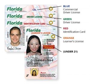 check fl drivers license valid