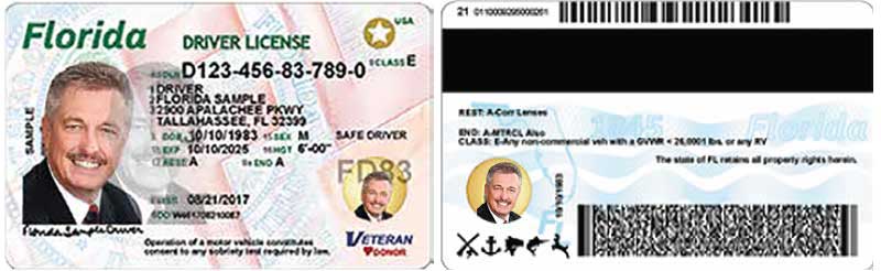 New Florida driver license, ID card expanding statewide