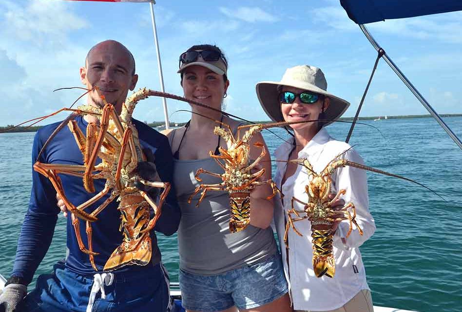 Spiny lobster seasons begins soon, twoday recreational miniseason