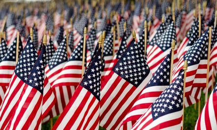 Honoring Heroes: Understanding the Difference Between Memorial Day and Veterans Day