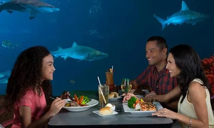 Celebrate Father’s Day with a Unique Brunch at SeaWorld Orlando’s Sharks Underwater Grill