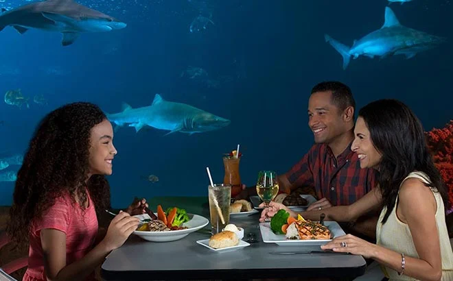 Celebrate Father’s Day with a Unique Brunch at SeaWorld Orlando’s Sharks Underwater Grill