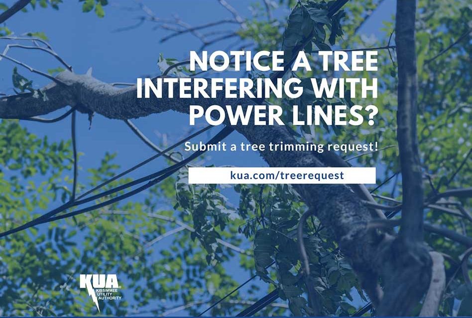 Prepare for Hurricane Season: Ensure Safe Power Lines with KUA’s Tree Trimming Service