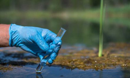 Blue-Green Algae Discovered at Lake Toho Marina Dock in Osceola County, Department of Health Says