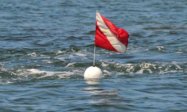 FWC reminds boaters and divers to use and be on the lookout for divers-down flags
