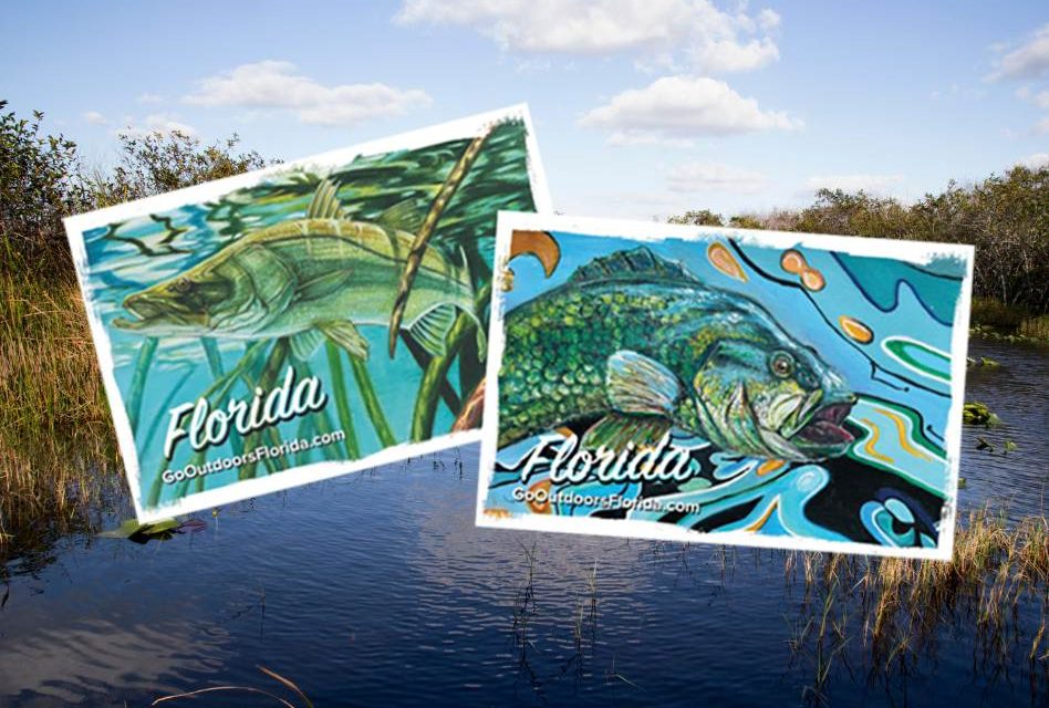 FWC: New fishing license card designs feature youth artwork from Florida Fish Art Contest
