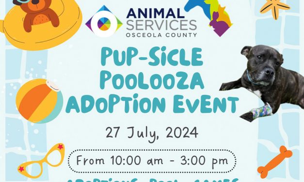 Pup-sicle Poolooza Adoption Event with Osceola County Animal Services