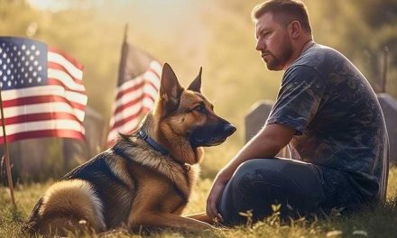 Being Sensitive to Those with PTSD, Especially Our Veterans, and Being Aware of the Impact of Fireworks on Pets